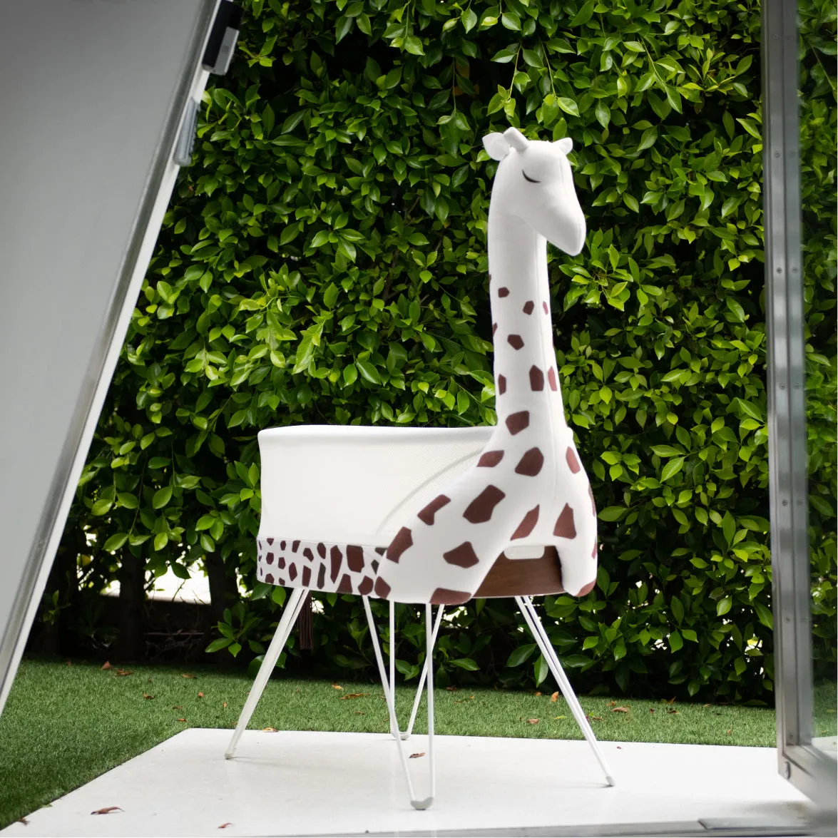 SNOO Zoo Giraffe